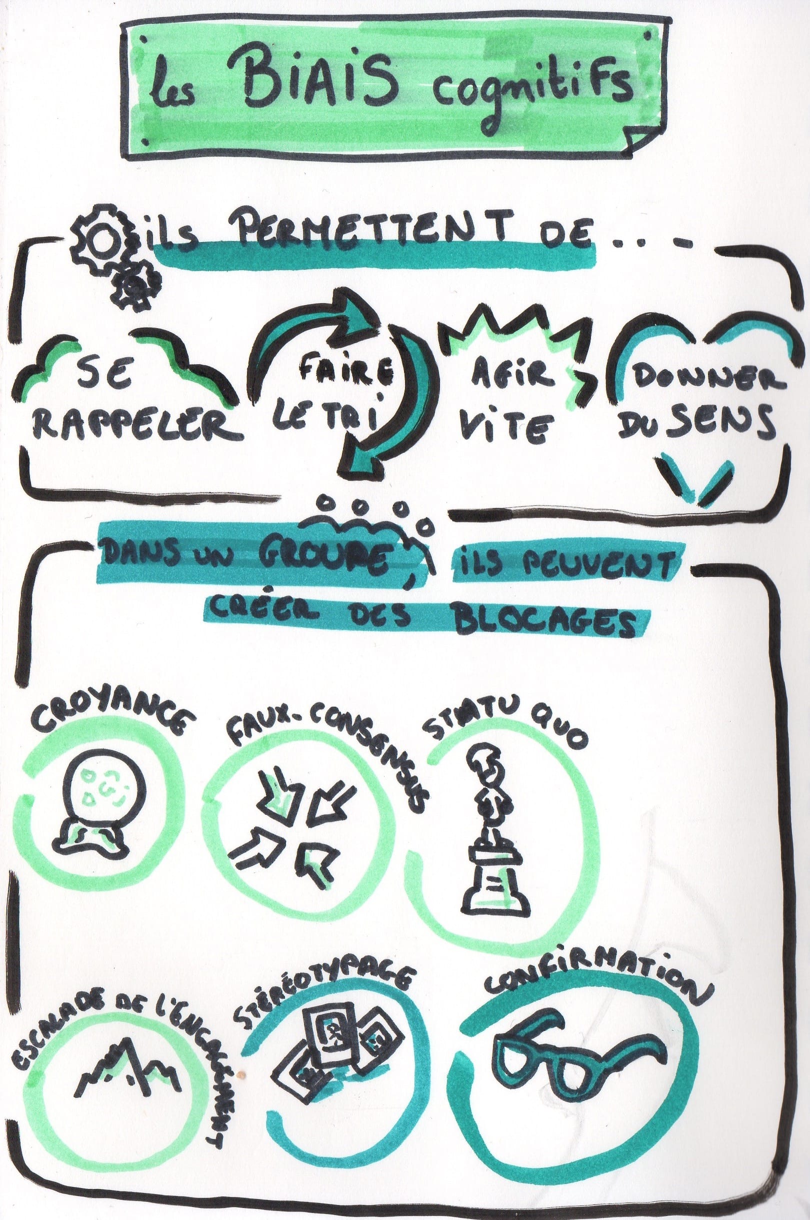 Biais cognitifs & dynamique de groupe